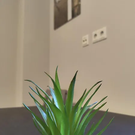 For 2 Guests * Geesthacht